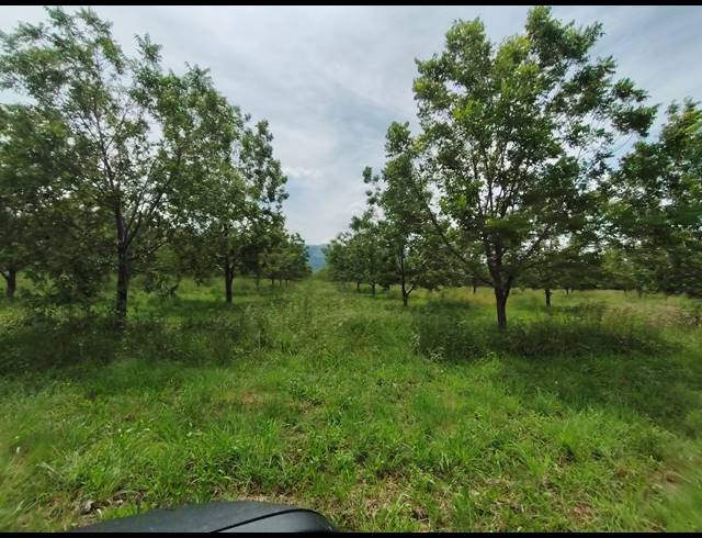96HA FARM FOR SALE IN HEKPOORT